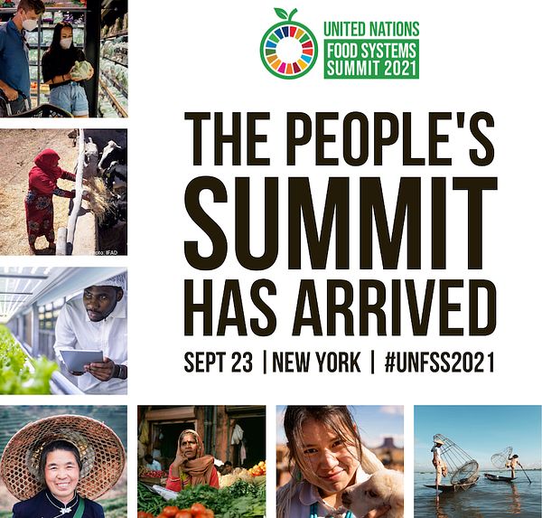 UN Food Systems Promo Graphic