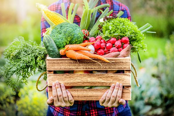 Basket of fruits and vegetables