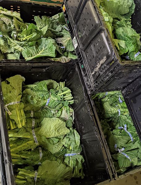 Gleaners has used PHA grant funds to source fresh collard greens and a variety of other produce items that meet the cultural preferences of the neighbors we serve