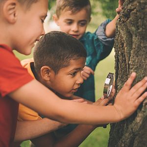 Image of three young boys using a magnifying glass to examine a tree trunk for National Recreation and Park Association's story for PHA's 2017 #PHABack2School campaign.