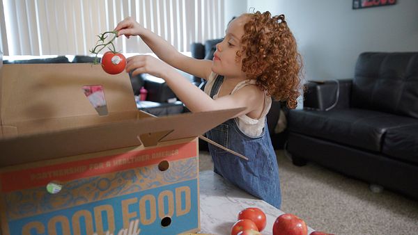 Ariel, a child in a Good Food for All participant family reaches into food box from PHA