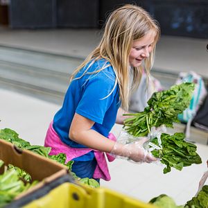 Image of children volunteering at a food bank, courtesy of Feeding America for PHA's 2017 #PHABack2School campaign. 