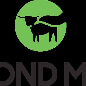 Beyond Meat Logo
