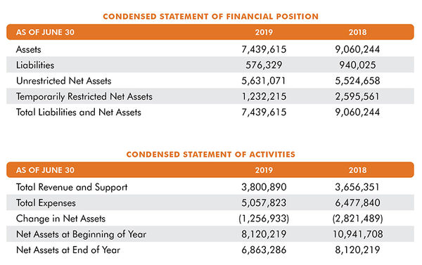 2019 progress report functional expenses tables