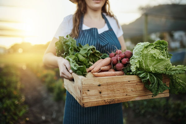 Picture of women holding a basket of produce