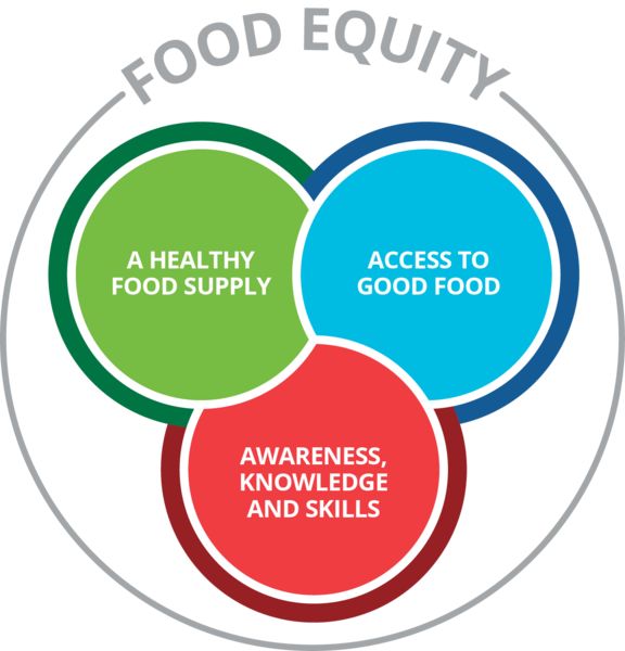 The Food Equity Model is made up of a healthy food supply; access to good food; and awareness, knowledge and skills