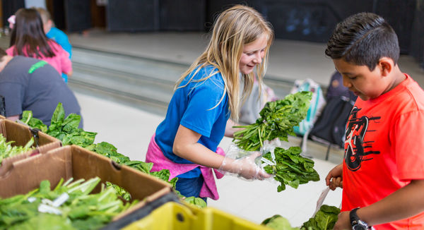 Image of children volunteering at a food bank, courtesy of Feeding America for PHA's 2017 #PHABack2School campaign.