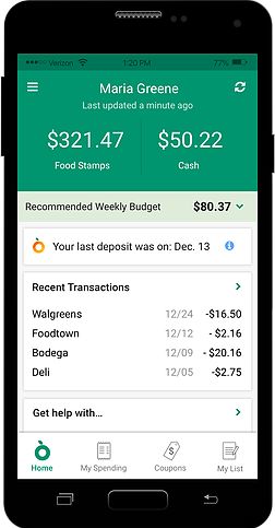 Image of the Fresh EBT app, produced by Propel. 