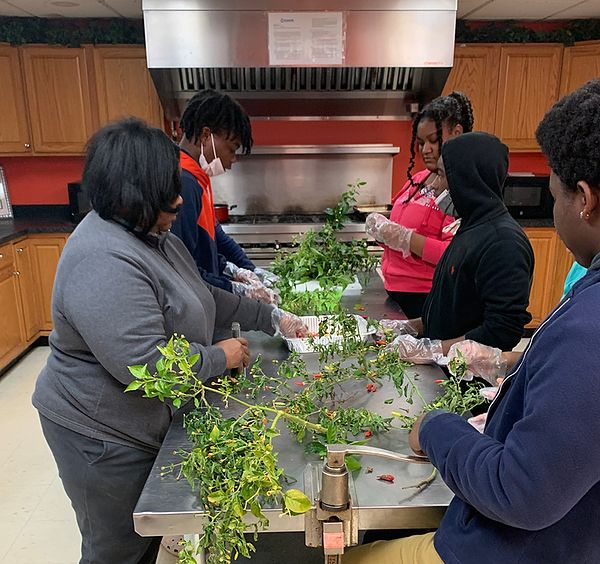 Denise teaching summer garden youth how to make salsa.