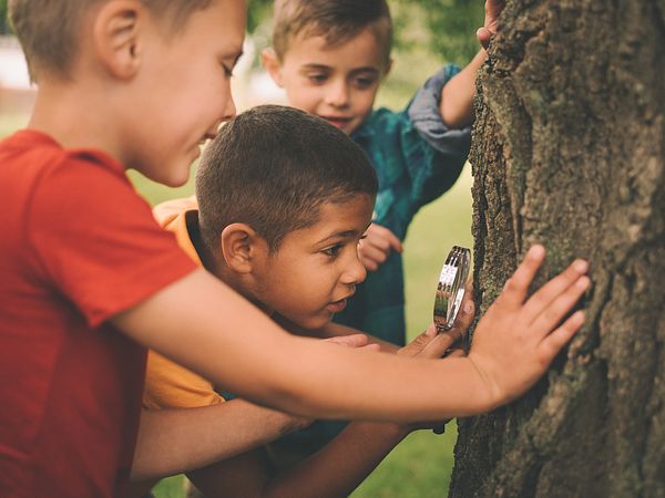 Image of three young boys using a magnifying glass to examine a tree trunk for National Recreation and Park Association's story for PHA's 2017 #PHABack2School campaign.