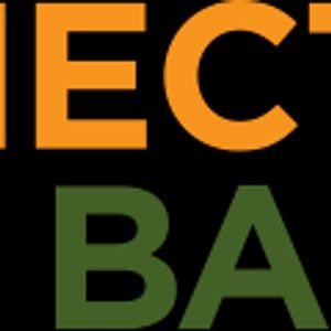 Logo for Connecticut Food Bank, a Partnership for a Healthier America partner participating in the Food Assistance Partnership Program.