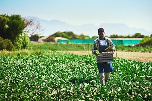 farmer walking through field